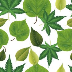 leaves background N16