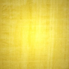 Grunge Background N161