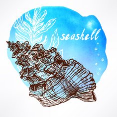 background with seaweed and shell - 1 N2