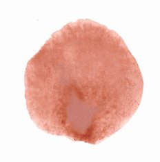 Watercolor paint circle N2