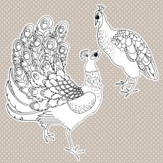 Two isolated exotic birds
