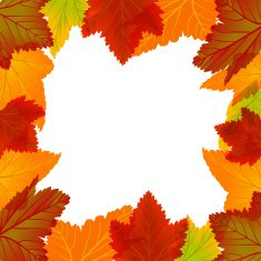 Autumn Frame N62