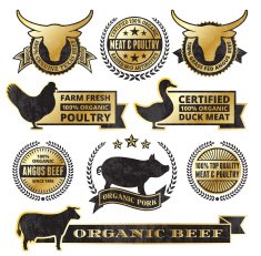 Organic Meat Poultry Grunge Black and Gold vector icon set