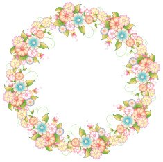 floral circle frame N5