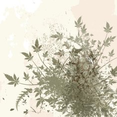 Autumn Grunge