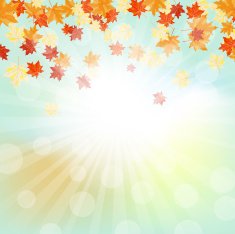 Autumn Frame N63