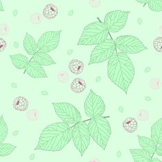 Bright illustration with raspberries and blackberry leaves Seamless vector pattern