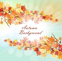Autumn Frame N65