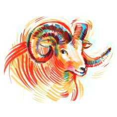 red Sheep Ram with large spiral horns