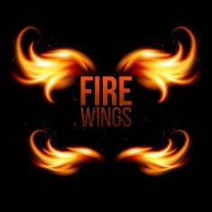 Wings in Flame and Fire Illustration on black N2