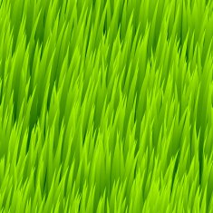 Green grass seamless pattern Vector illustration N2