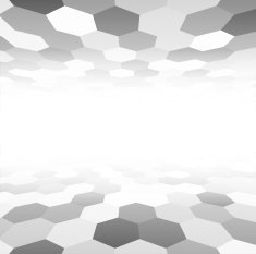 Perspective grid hexagonal surface N5