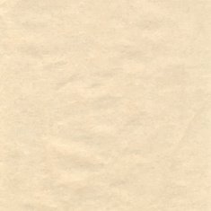 Paper texture background N14