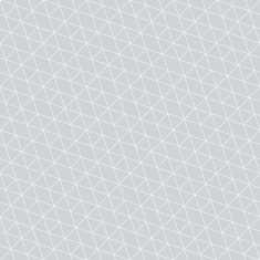 Seamless pattern483 N2