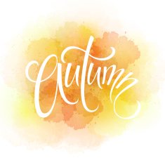 Word AUTUMN and three leaves Watercolor background Vector illustration