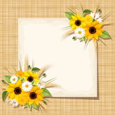 Vector card with sunflowers daisy and wheat on sacking background