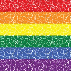 Gay pride flag with a seamless tiled pattern N2