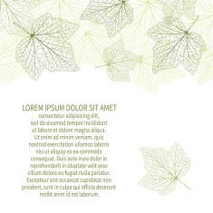 Vector background Green leaves with veins