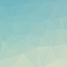 Polygonal Abstract Background N24