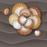 Shells on the sand