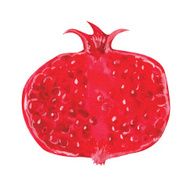 Watercolor pomegranate