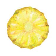 Vector watercolor pineapple
