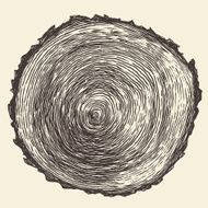 Tree Rings Engraved Annual Saw Vector