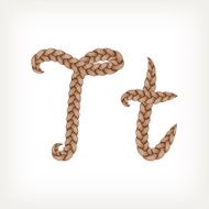 Braids hair font N16