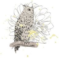 sketch of a owl N4
