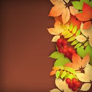 Autumn Vector Fall Leaves N6