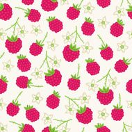 Seamless pattern with raspberry N5
