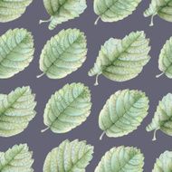 Seamless pattern with beautiful spring leaves N8