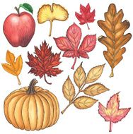 Set of Autumn Items Painted in Watercolor