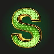 s green letter with gold