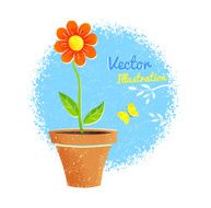Flower in pot