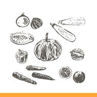Ink hand drawn fruits and vegetables set N2