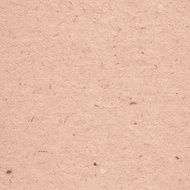 Realistic cardboard texture