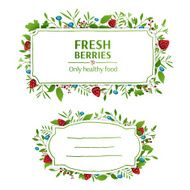 Beautiful banner Strawberries and blueberries elements Ornament from leaves berries N2
