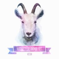 Vector set of watercolor illustrations Cute goat