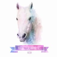 Vector set of watercolor illustrations Cute horse