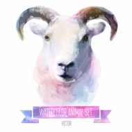 Vector set of watercolor illustrations Cute sheep
