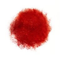 Colorful watercolor circle red drop on white background