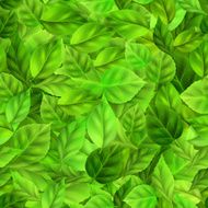seamless pattern of green leaves N6