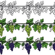 grapes vector
