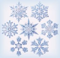 Set of ornate three dimensional snowflakes icons