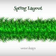 Green grass N13