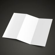 blank tri-fold brochure design
