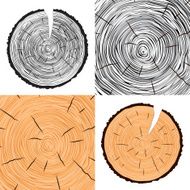 Tree rings background