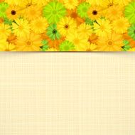 Card with yellow and green gerbera flowers Vector eps-10