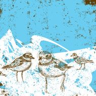 three sandpipers